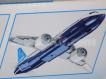 Boeing 737-8 TM