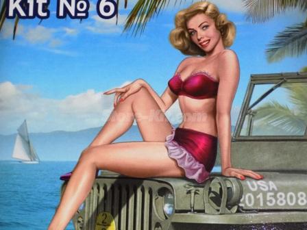 Figura Pin-Up Serie 6