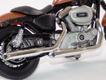 Harley Davison XL 1200 N Nightster 2007 bronze