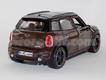 Mini-Countryman 2010 castanho
