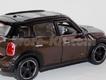 Mini-Countryman 2010 castanho