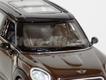 Mini-Countryman 2010 castanho