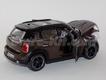 Mini-Countryman 2010 castanho
