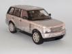 Range Rover cinza