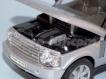 Range Rover cinza