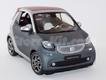 Smart For Two cinza/vermelho capota 
