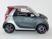 Smart For Two cinza/vermelho capota 