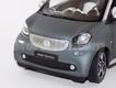 Smart For Two cinza/vermelho capota 