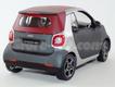 Smart For Two cinza/vermelho capota 