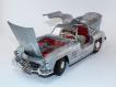 WW.P.A Mercedes-Benz 300 SL 1954 (Asas de Gaivota)