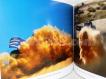 WWW. livro Lisboa/Dakar 2006